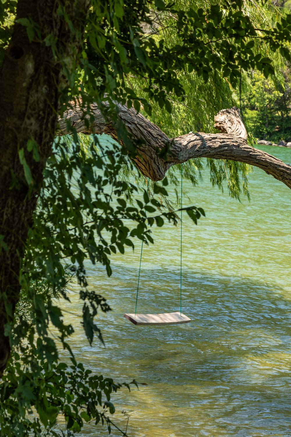 swing over water by tom hausler