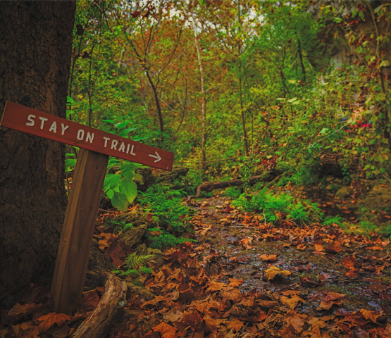 sign that reads stay on trail near trail by brian deitch