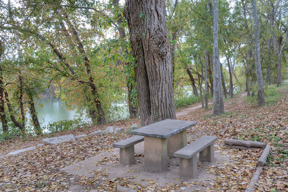 picnic table near tree by rusty ray